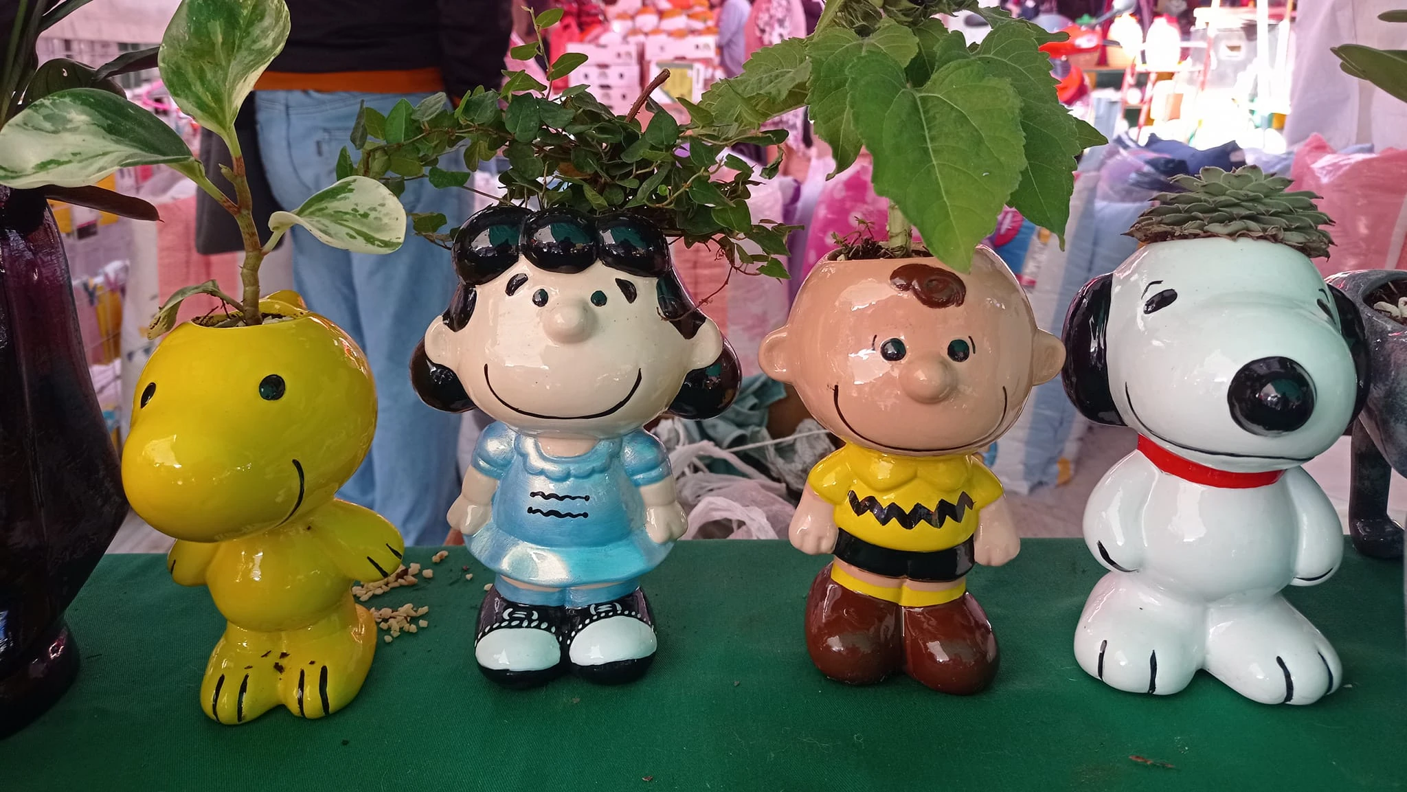 Creaciones Morales